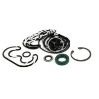 Hydraulic Pump - Seal Kit